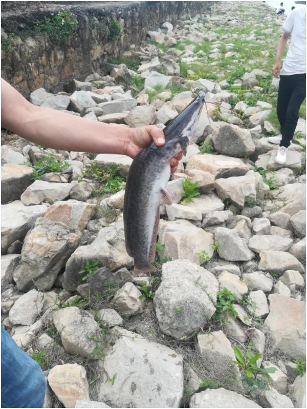 深圳河流野釣盛行，市民解鎖新的休閑方式2